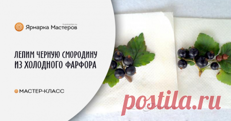 Лепим веточку черной смородины из холодного фарфора Лето... дача... и, конечно же, черная смородина! Такая красивая и вкусная ягода, что хочется слепить! Сегодня я вам покажу, как слепить с натуры небольшую веточку черной смородины из самозатвердевающей полимерной глины («холодного фарфора»).