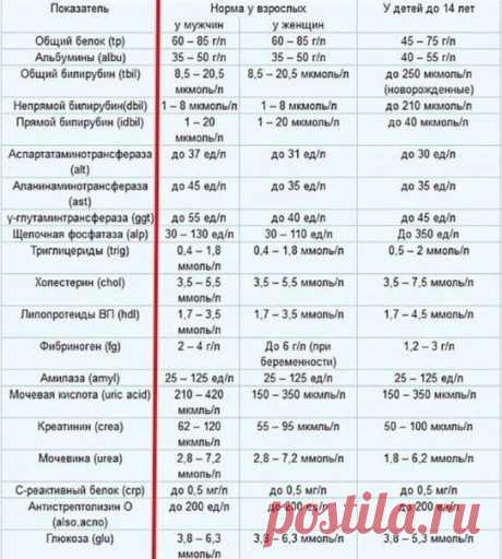 ПОКАЗАТЕЛИ АНАЛИЗА КРОВИ ЗДОРОВОГО ЧЕЛОВЕКА!