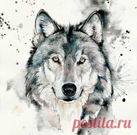 Волк рисунок арт (23 фото) » Рисунки для срисовки и не только