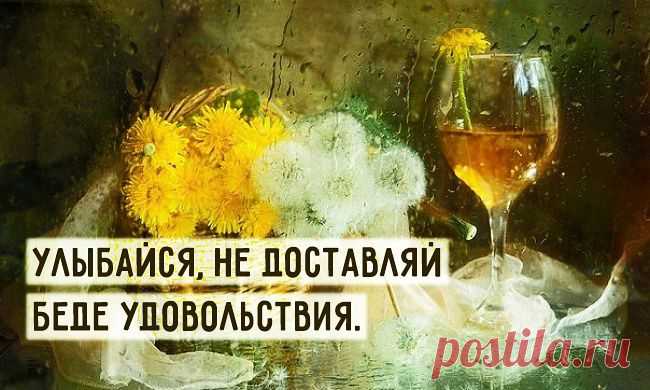 20 истин в «Вине из одуванчиков»