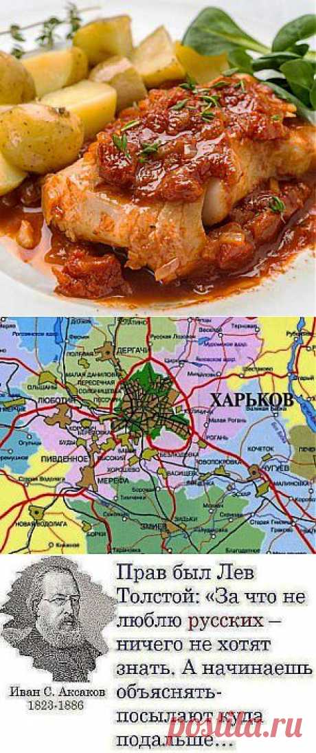 Мультиварка,плюсы и минусы.