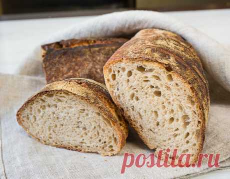 Кулинарный практикум. Как вырастить закваску для хлеба | Вкусный блог - рецепты под настроение