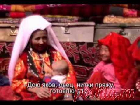 Афганские кыргызы-RUSS-2.flv - YouTube