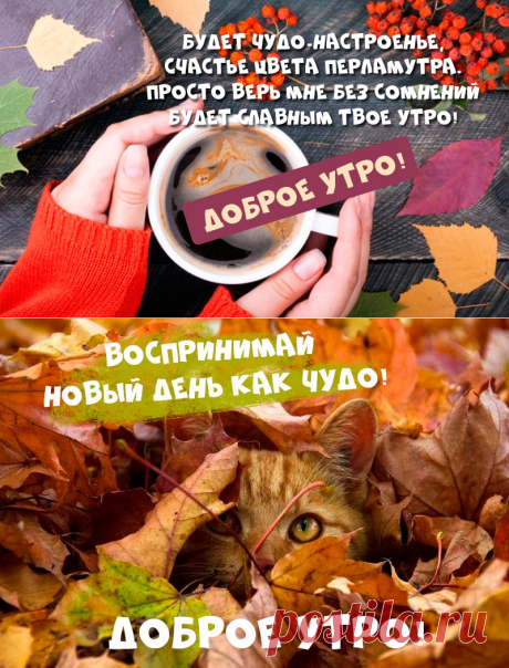 Осенние картинки с добрым утром — красивые открытки с пожеланиями