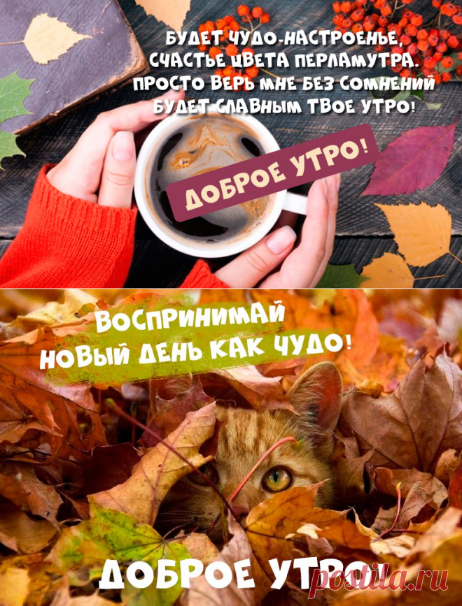 С добрым утром! 2023 Группа 5 МБДОУ д/с 75 ВКонтакте