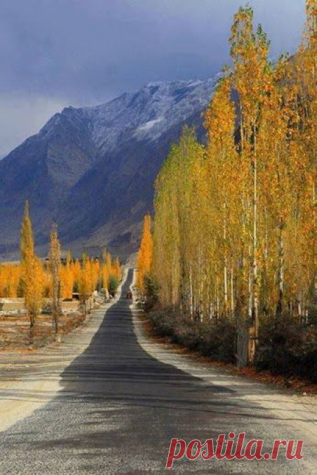 Kirill Gerusov – Google+