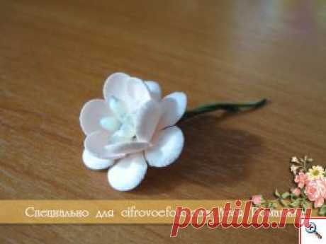Татьяна Петрова