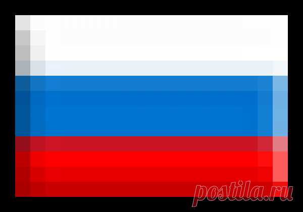ВЫРАЩИВАЕМ КРУПНЫЙ ЧЕСНОК! | 6 соток
