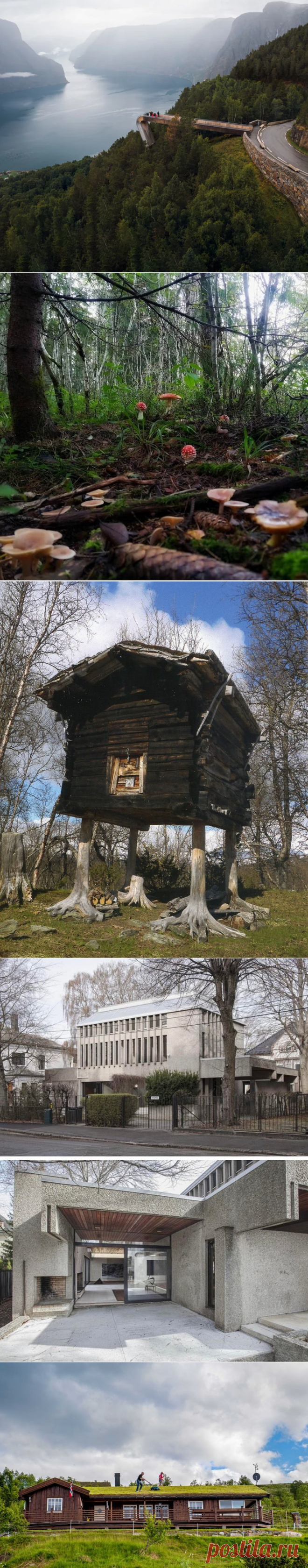 18 фотографий из Норвегии, которые удивляют, восторгают и обескураживают / Туристический спутник