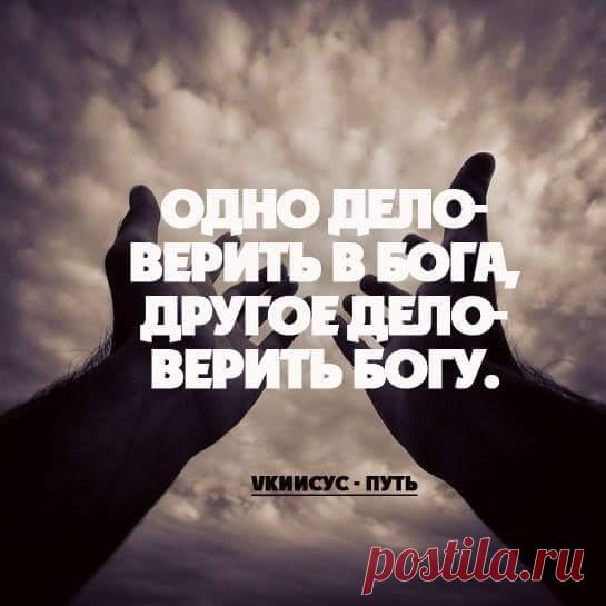 друид прикол. дай дру. 3. настоящая взаимная любовь. не унывать мем.