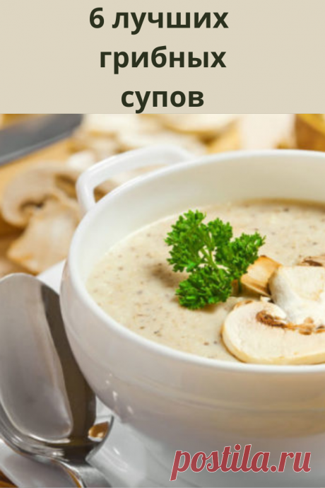 Эти рецепты помогут по-новому взглянуть на грибные супы и технологию их приготовления.