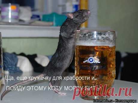 думаю,что влезет......