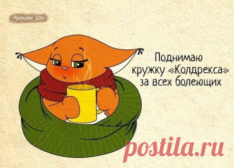 Девичья правда от белки Ши | Prikolisti.com
