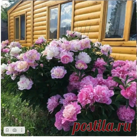 Новости