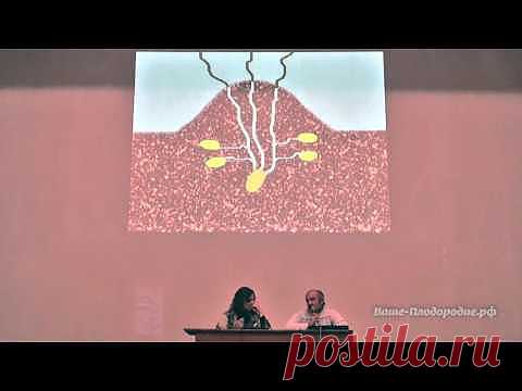 Как получить с одного куста ведро картошки.