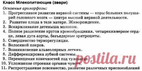 АРОМОРФОЗЫ МЛЕКОПИТАЮЩИХ