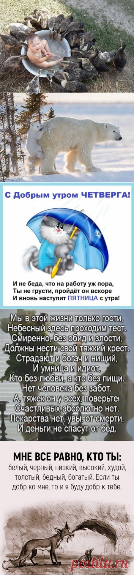 (51) Одноклассники