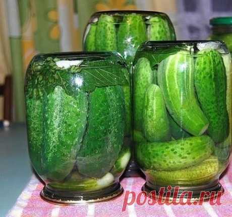 ОЧЕНЬ,ОЧЕНЬ ВКУСНЫЕ ОГУРЧИКИ))))) (Всем советую))))) на 1 литр воды: 4 ст.л. сахара (без горки!!) 1 ст.л. соли (с горкой!!) 100 г уксуса!! способ приготовления: В каждую(литровую)банку: 1 лист хрена 1 зуб. чеснока 1 лист лавр. листа 1 зонт. укропа 2-3 шт. перца горошком Заливать кипятком 2 раза - сливать в раковину.... На 3-й раз залить расолом......закатать и под шубу....))) ЧЕСТНО,ЧЕСТНО.....очень-очень вкустно....(это рецепт,моей пробабушки))) .