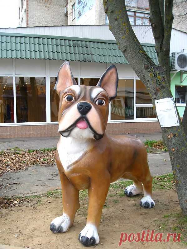 Sculpture Of A Dog In Smolensk  Free Stock Photo HD - Public Domain Pictures