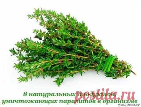 Цветная капуста с чесноком, сыром Пармезан и зеленью в духовке. 100 гр - 86.36 ккал