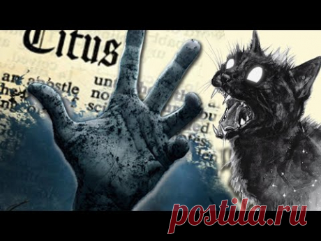 🥀 Страшный праздник Хэллоуин! Halloween видео для атмосферного настроения. - YouTube
Для любителей страшилок!
https://youtu.be/xyoU5ON_MzM