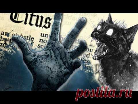 🥀 Страшный праздник Хэллоуин! Halloween видео для атмосферного настроения. - YouTube
Для любителей страшилок!
https://youtu.be/xyoU5ON_MzM