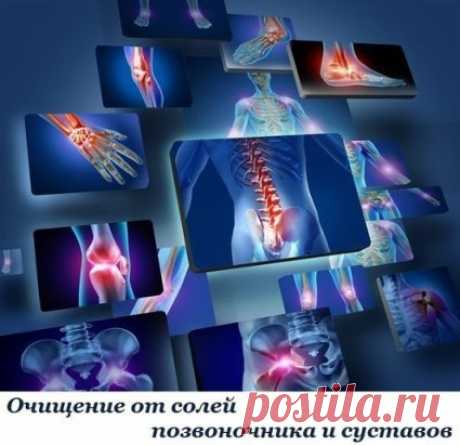 Очищение от солей позвоночника и суставов