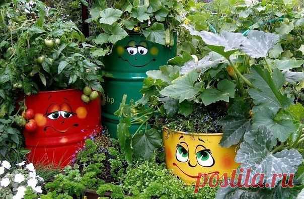 Без заголовка