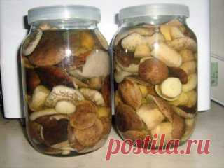 🍄10 ЗАГОТОВОК ИЗ ГРИБОВ НА ЗИМУ🍄
📌 Сохрани на стену чтобы не потерять.
1. 🍄Засолка грибов - холодный способ.
грибы (рыжики, черные и белые грузди, волнушки, сыроежки) - 1 кг
соль - 100 г
смородина - 10–12 листьев
вишня - 5–6 листиков
хрен - 2 листа
укроп - 2 зонтика
лавровый лист - 2–3 шт.
перец горошком - по вкусу
чеснок - по вкусу
Грузди, волнушки или сыроежки вымыть и залить холодной водой на 5–6 ч. (Рыжики не вымачивают, а только промывают). На дно деревянной или керамической посуды н