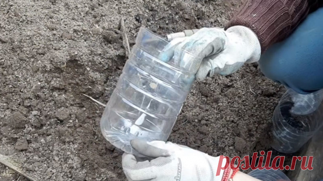 Гениальная идея для клумбы из пластиковых бутылок