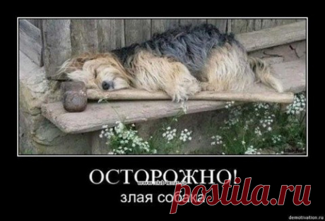 юмор | Записи в рубрике юмор | *****Alla Studentova*****