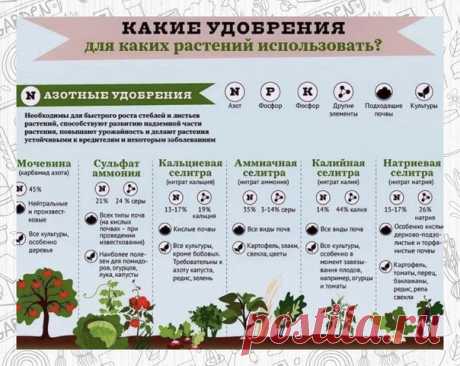 Запись на стене Проект «GARDEN» - много маленьких хитростей&#928;&#7439;&#652;езная&#8195;инф&#7439;&#961;&#653;ация&#8195;на&#8195;за&#653;ет&#312;y&#8195;дачни&#312;а&#653;