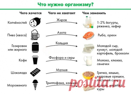 В каких продуктах и витаминах нуждается организм — Делимся советами