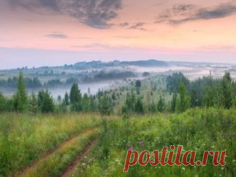 Фото дня на «Фото.Сайте»
«На вятских холмах» (Дмитрий Медянцев)

Другие работы автора: www.photosight.ru/users/324670/