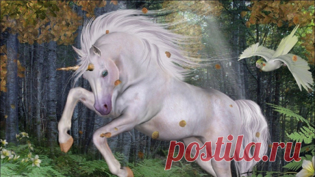 unicorn-09.jpg (1920×1080)