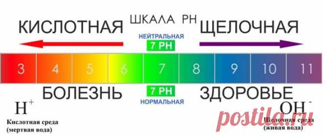 Защелачивание организма содой — научная точка зрения на кислотно-щелочной баланс