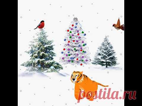 С наступаюшим Годом Тигра - YouTube