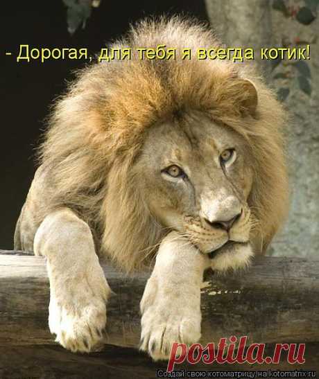 Я умница