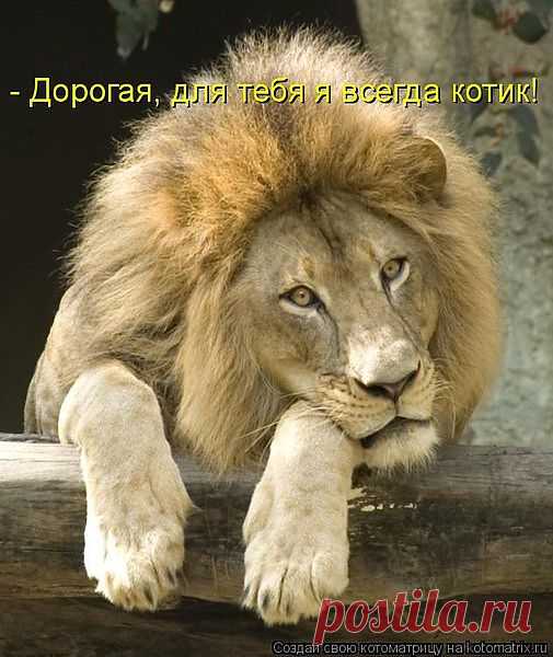 Я умница