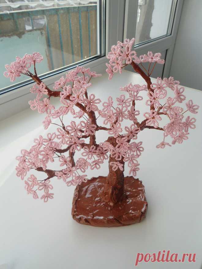 sakura_avatar.JPG (3000×4000)
