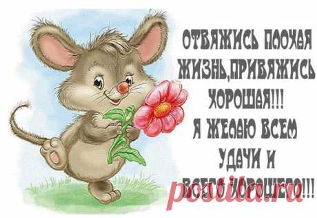 Новости