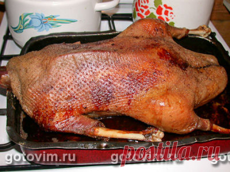 Рецепты приготовления гуся