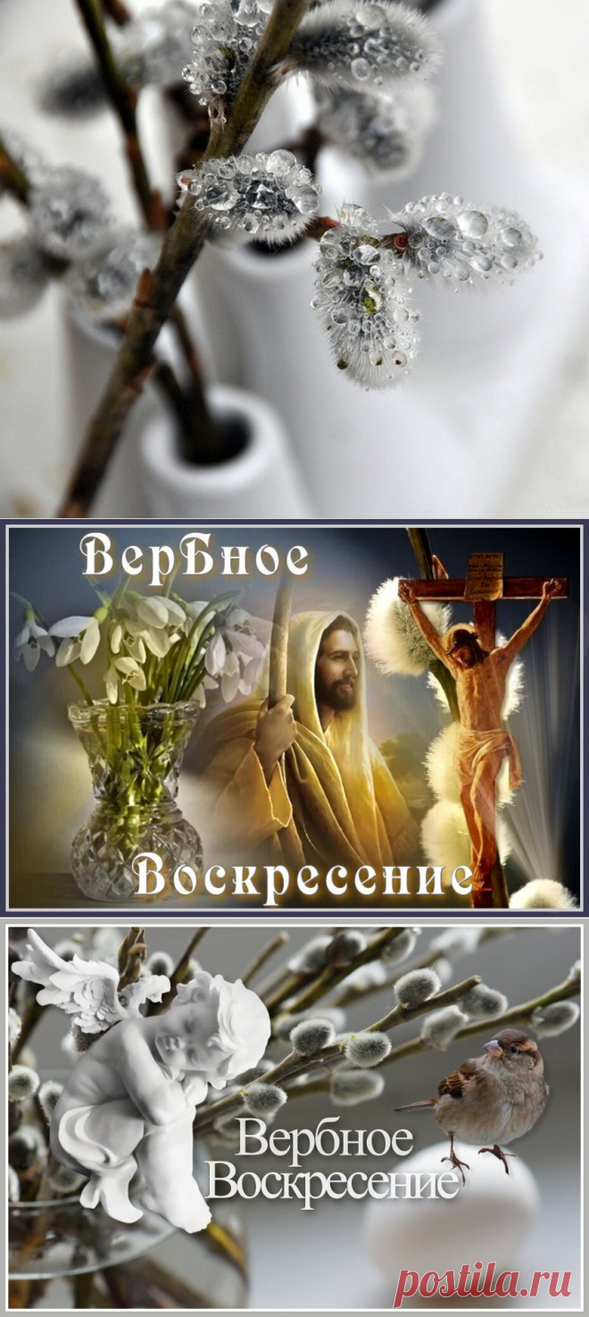 Открытки с вербным воскресеньем