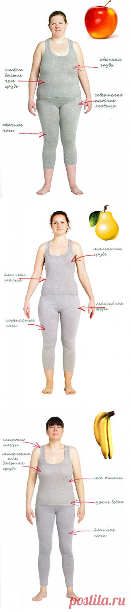Худеем по типу фигуры - Все о еде и ее приготовлении - www.calorizator.ru