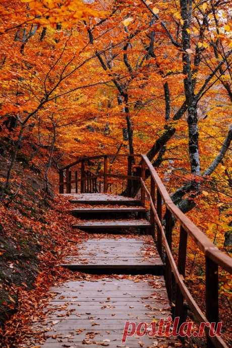(14) Pinterest