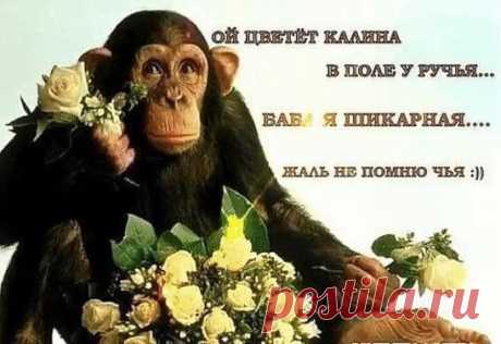 Молитва перед гулянкой

Дай Бог сегодня не напиться,
И не нести по пьяни жесть!
Дай Бог не ржать как кобылица,
Не жрать и в джинсы свои влезть!
Дай Бог под стол не завалиться,
На нем танцуя тет-а-тет!
Дай Бог в придурка не влюбиться,
Которому семнадцать лет!
Дай Бог с таксистом расплатиться,
Не пятитысячной деньгой!
Дай Бог в родной подъезд ввалиться,
А не в какой-нибудь другой!
Дай Бог с утра одной проснуться,
Под свой мобильник дорогой!
Дай Бог подняться, не свихнуться
