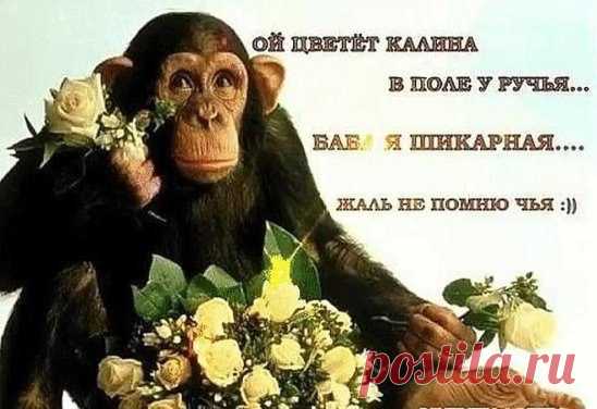 Молитва перед гулянкой

Дай Бог сегодня не напиться,
И не нести по пьяни жесть!
Дай Бог не ржать как кобылица,
Не жрать и в джинсы свои влезть!
Дай Бог под стол не завалиться,
На нем танцуя тет-а-тет!
Дай Бог в придурка не влюбиться,
Которому семнадцать лет!
Дай Бог с таксистом расплатиться,
Не пятитысячной деньгой!
Дай Бог в родной подъезд ввалиться,
А не в какой-нибудь другой!
Дай Бог с утра одной проснуться,
Под свой мобильник дорогой!
Дай Бог подняться, не свихнуться