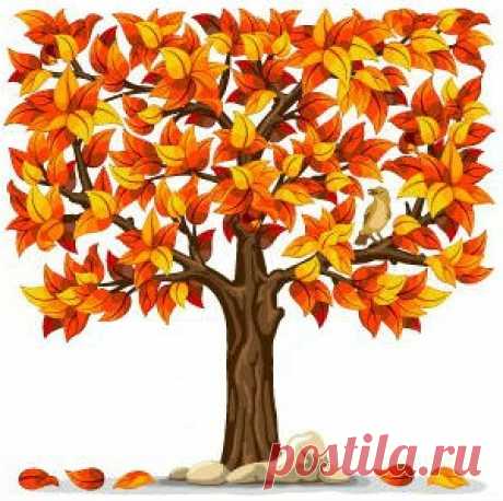 Осенние приметы и суеверия: подмечаем неочевидное