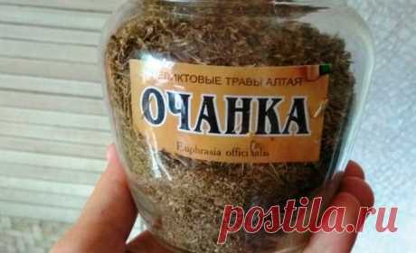 Очанка — спасительница зрения и памяти! Трава, которая заменит окулиста — если не лениться и правильно лечиться!
