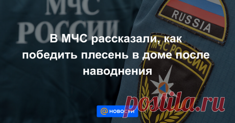 В МЧС рассказали, как победить плесень в доме после наводнения